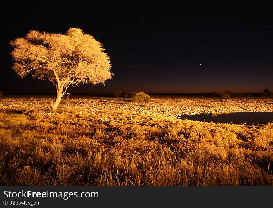 Peaceful watering hole at night in Etosha National Park in Namibia