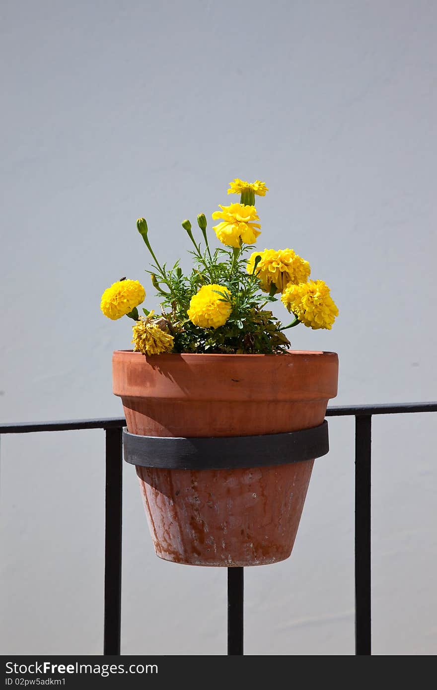 Flowerpot