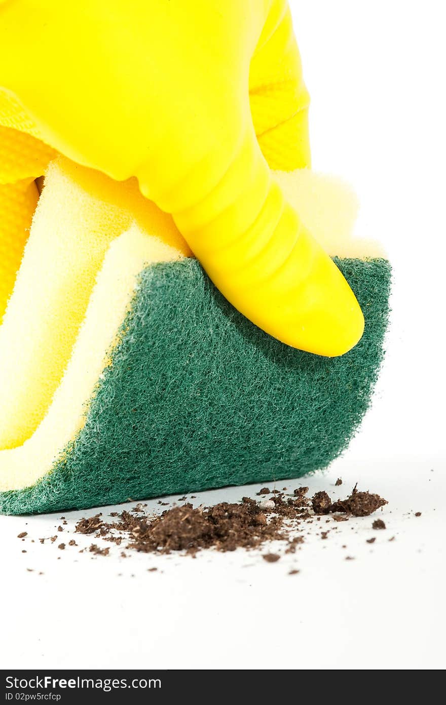 Cleaning Sponge