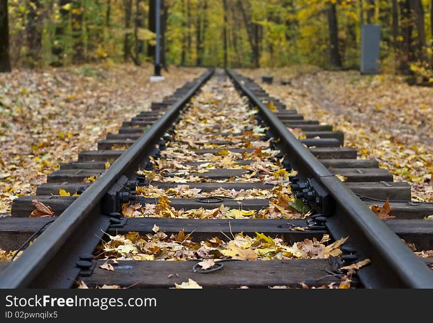 Railway in yellow autumn forest. Railway in yellow autumn forest