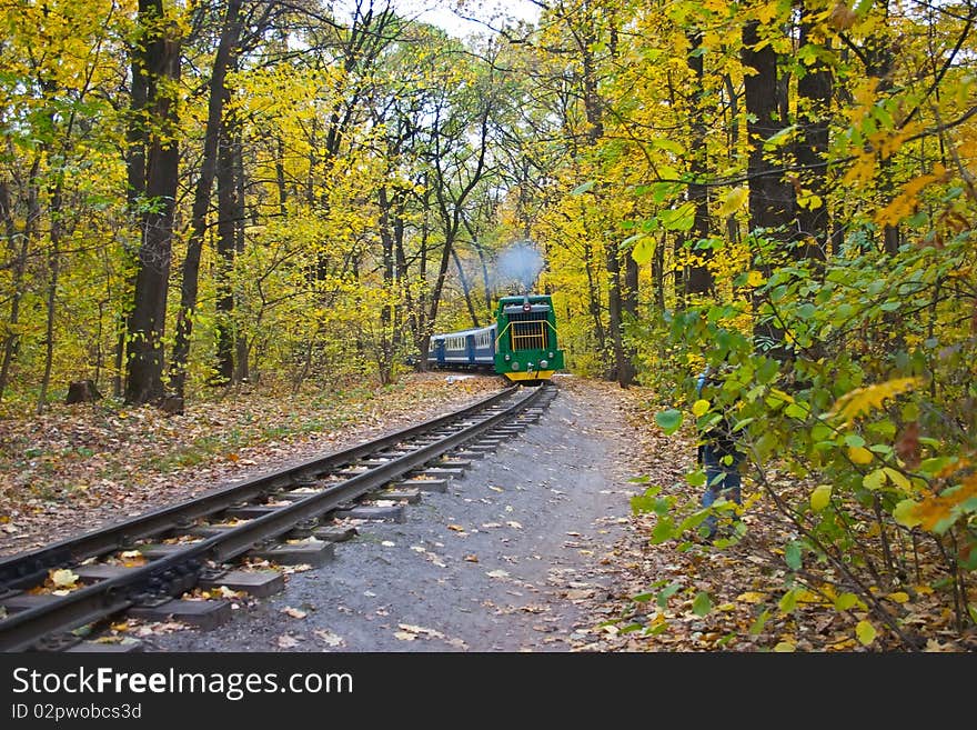 Railway and train in autumn forest