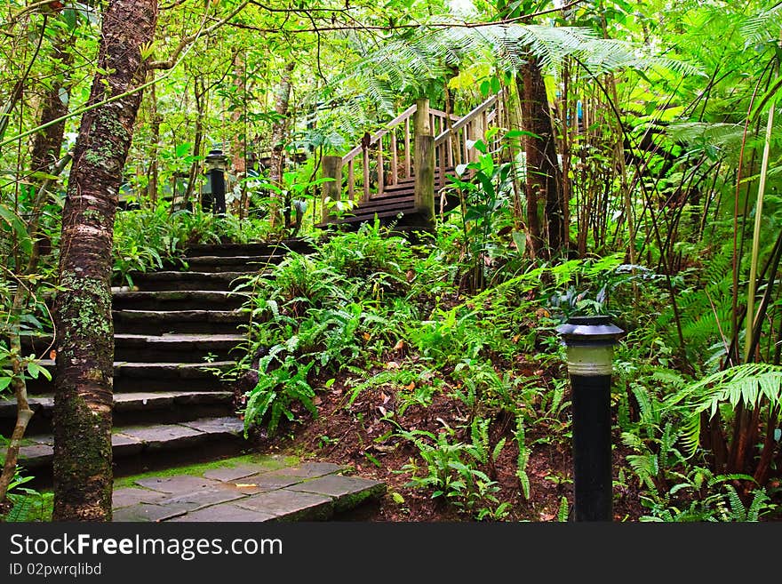 Stairs in park