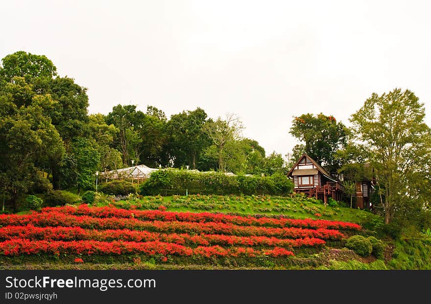 Wooden house on hill