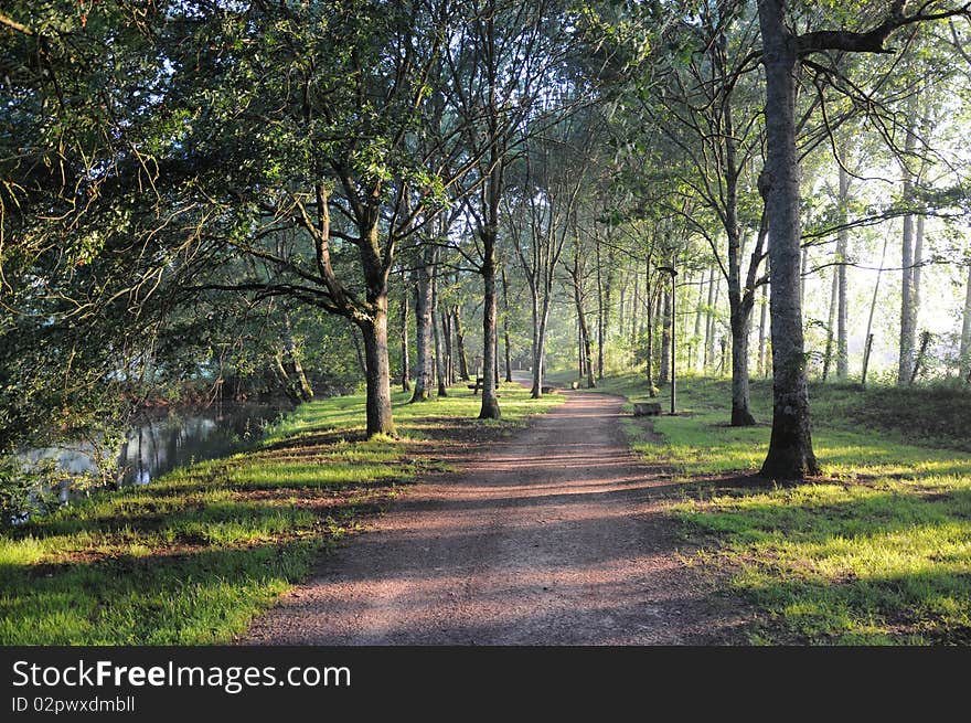 Early Morning River Path