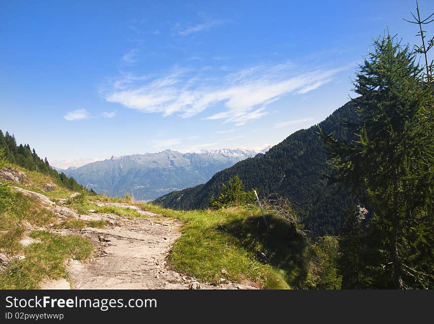 Mountain trail between pastures and forests. Mountain trail between pastures and forests