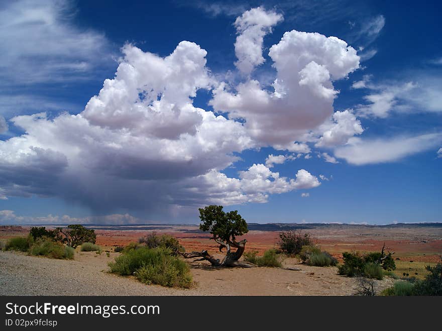 White clouds and blue sky above the Colorado Plateau