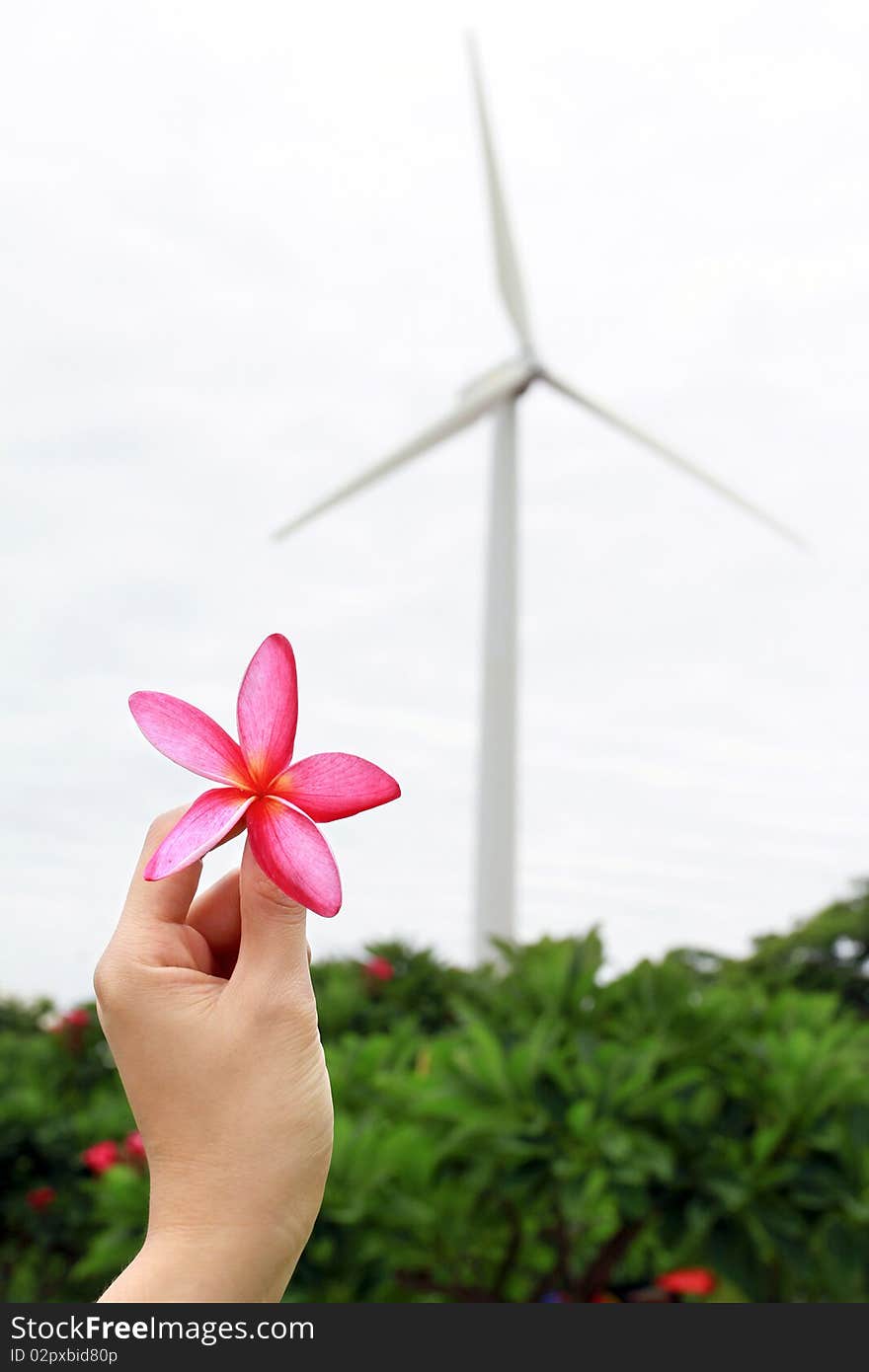 Windmills in a green meadow