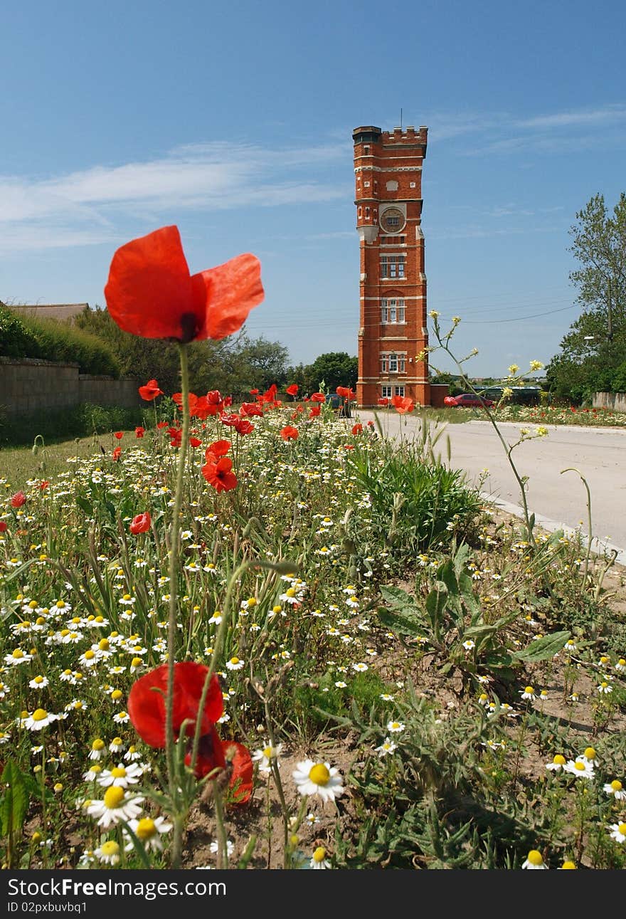 Water Tower And Wild Flowers