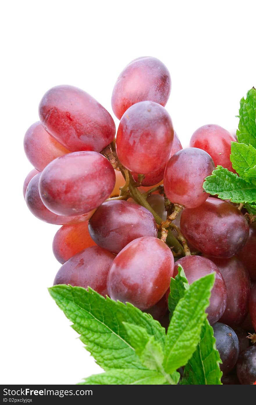 Red grapes and mint leaves, isolated on white. Red grapes and mint leaves, isolated on white