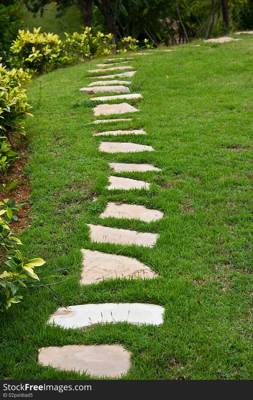 A footpath in a garden