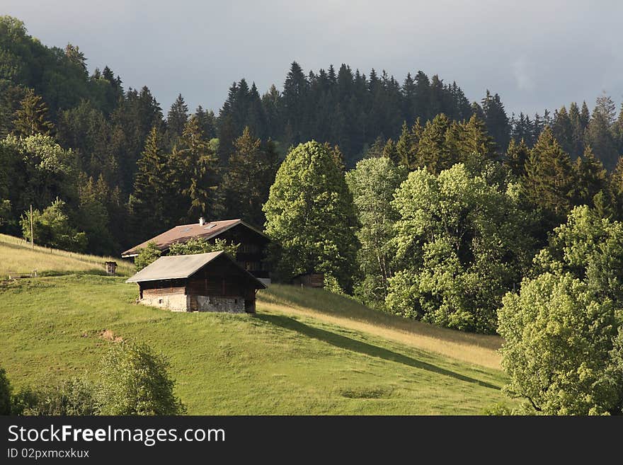 Swiss Mountain View