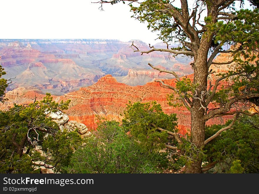 Grand canyon