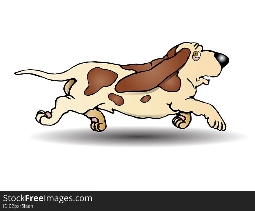 Hound Dog Running