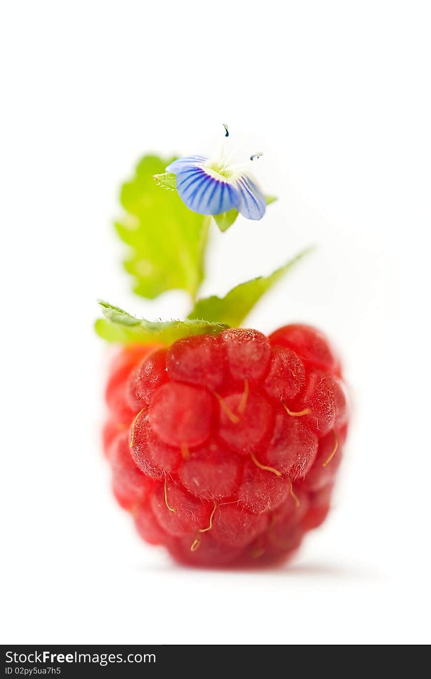 Raspberry with leaf