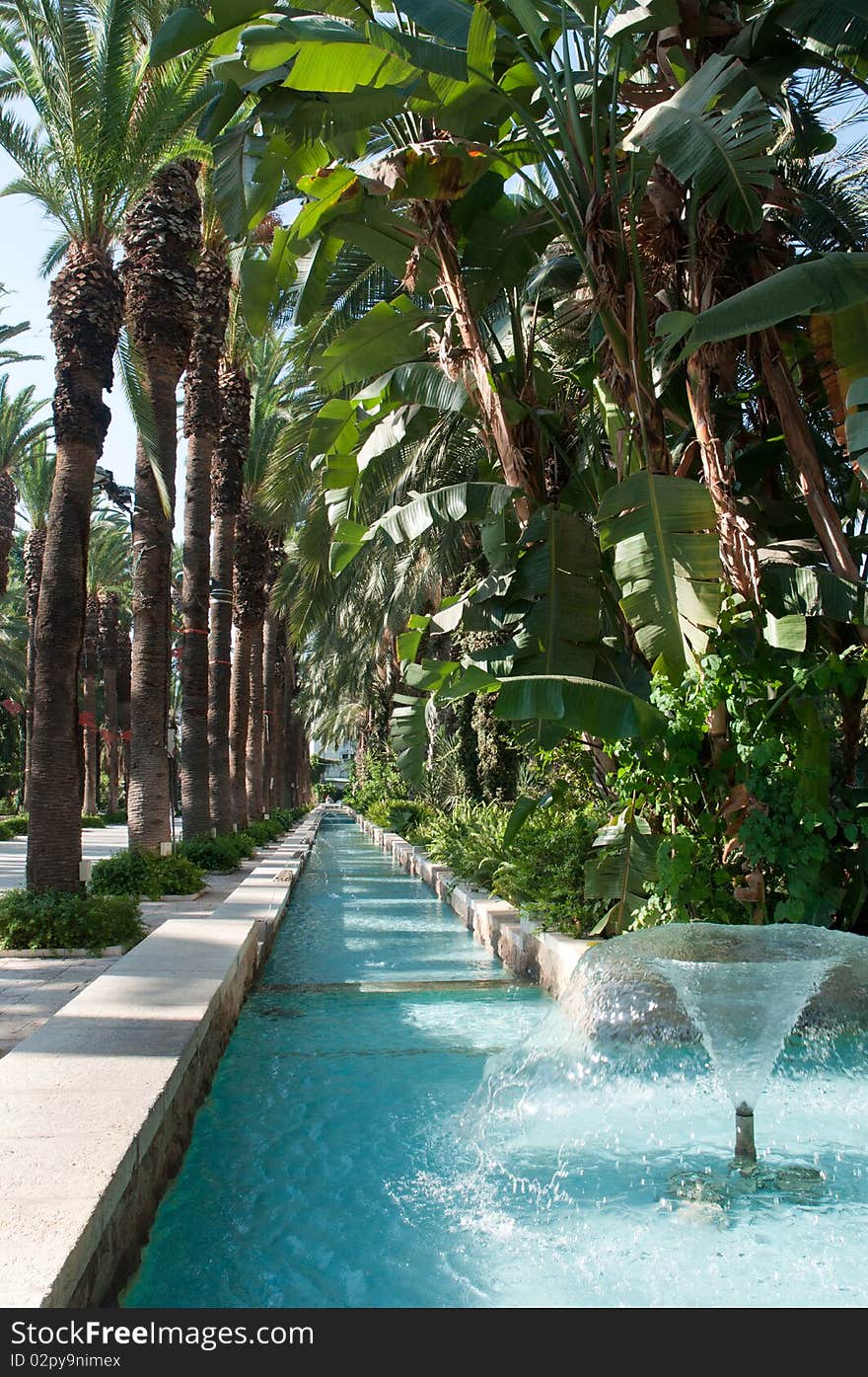 Image of fountain surrounded by palm trees.