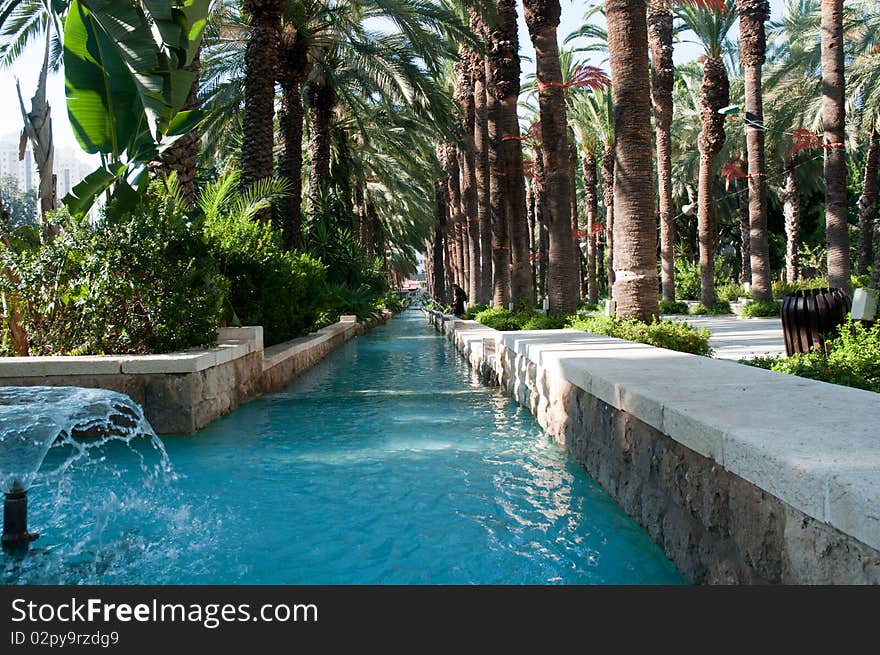 Image of fountain surrounded by palm trees.