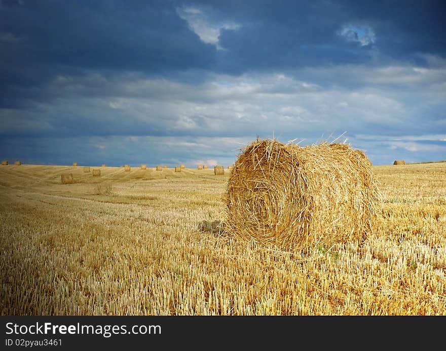 Straw on a field after harvest. Straw on a field after harvest