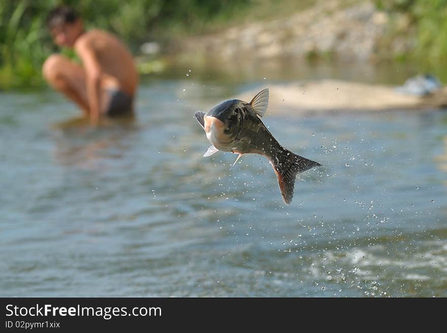 Flying fish and boy watching