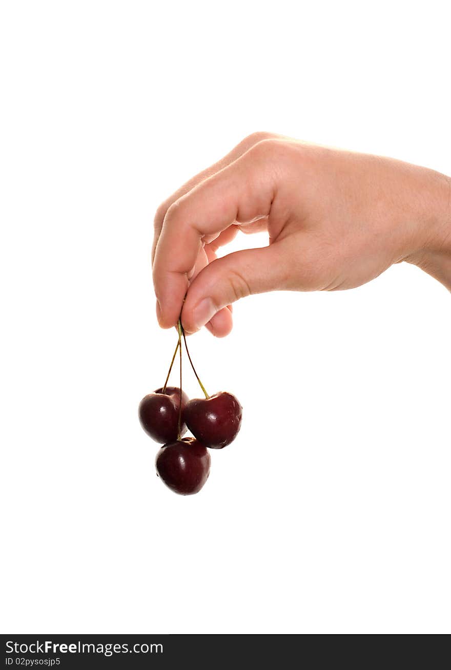 Hand holding cherry isolated over white