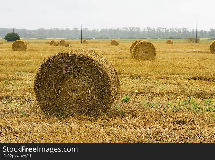 Closeup of a circular straw bale for background usage