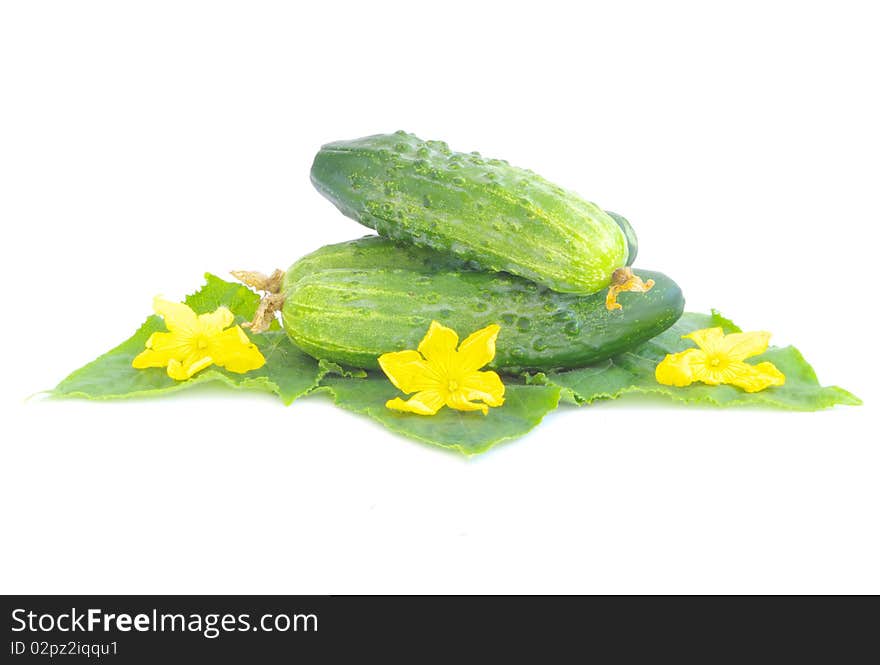 Cucumbers on white background with green leaf