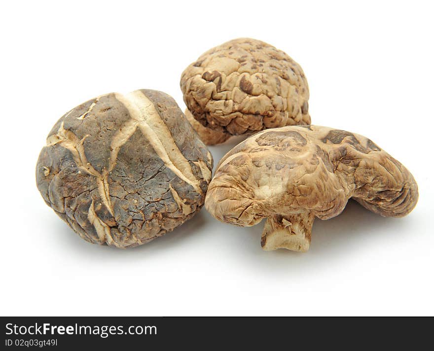 Dried Mushrooms