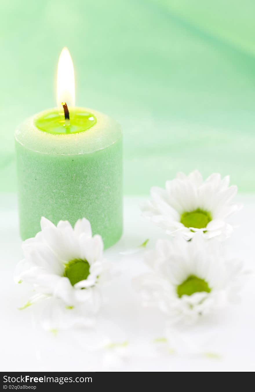 A green candle burns and white daisy on a white table. A green candle burns and white daisy on a white table