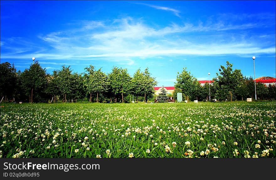 City park under the cloudy sky