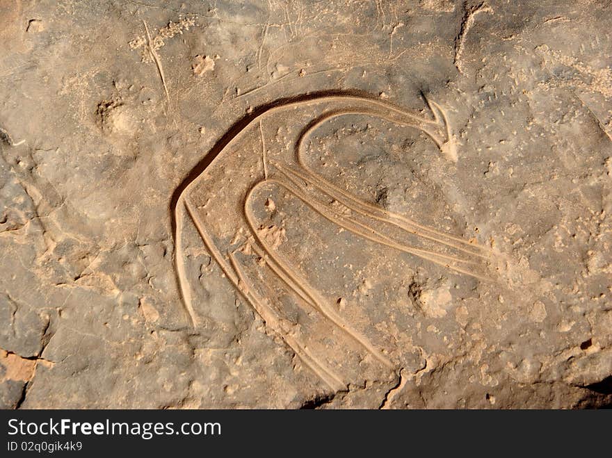 Rock engraving in the desert of Libya, in Africa. Rock engraving in the desert of Libya, in Africa