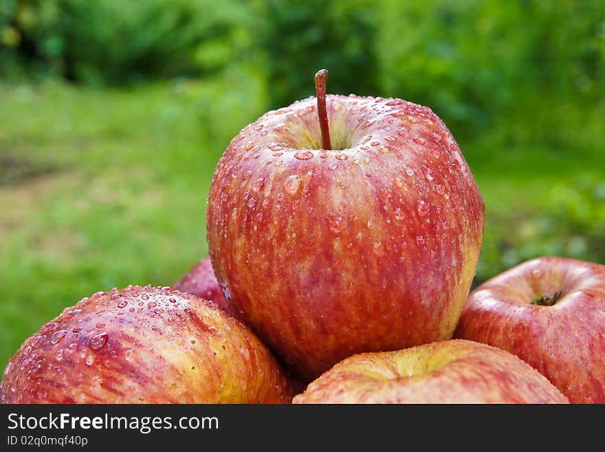 Apples on the table in the garden. Apples on the table in the garden