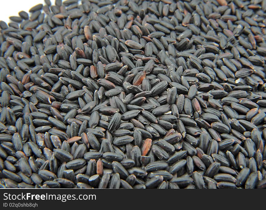 Black rices