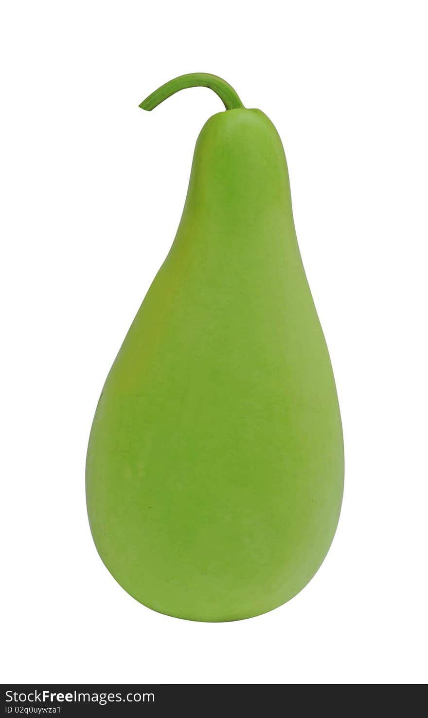 A single vegetable Bottle gourd. A single vegetable Bottle gourd