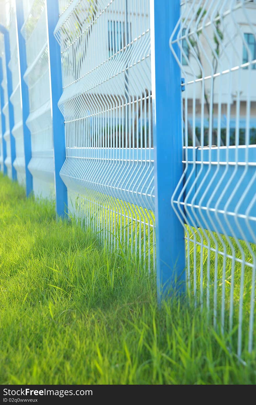 Iron fence in perspective surrounding  of green grass