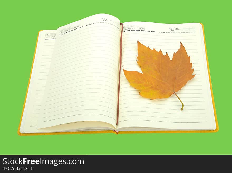 Notebook with leaf on green background