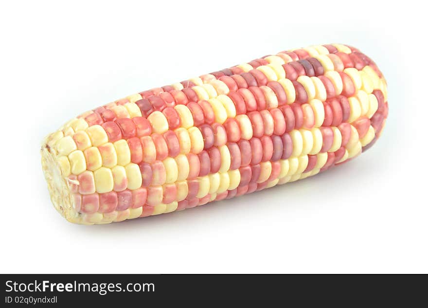 Corn