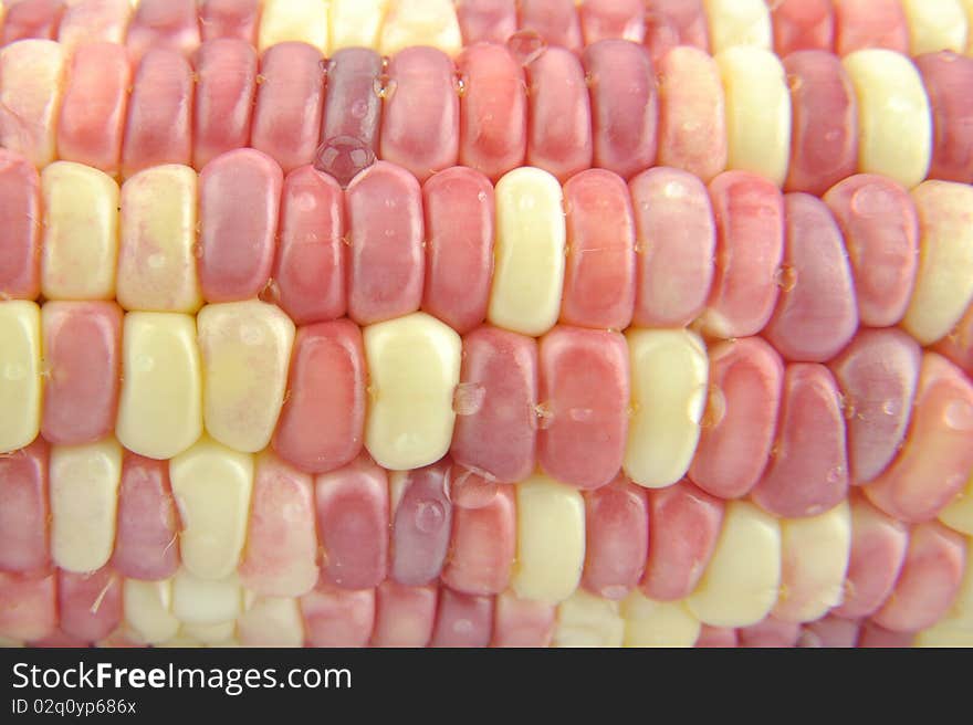 Close-up background of red and yellow corn