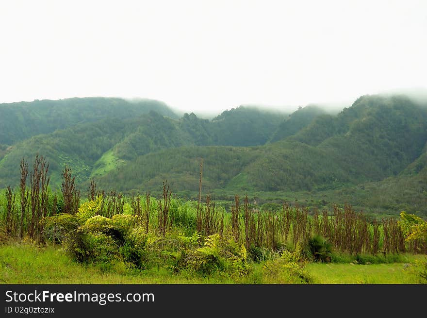 Lush green mountains covered with dense fog. Lush green mountains covered with dense fog