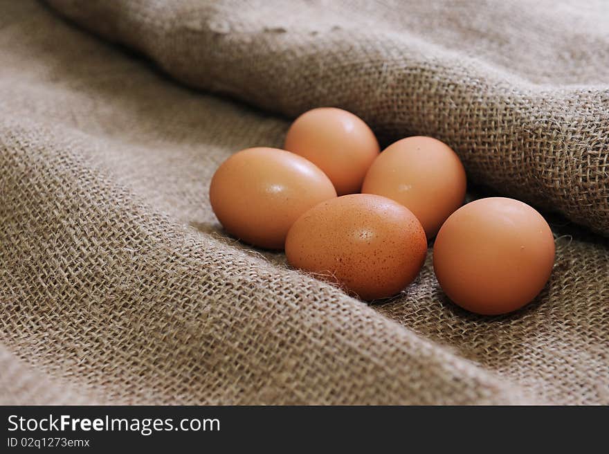 Eggs on the gunny cloth.