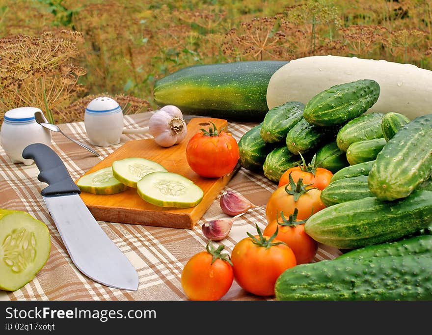 Appetizing Vegetable Snack