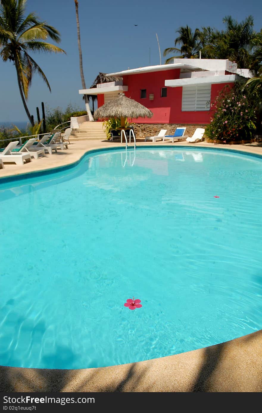 Pool against a country house and a palm tree. Pool against a country house and a palm tree