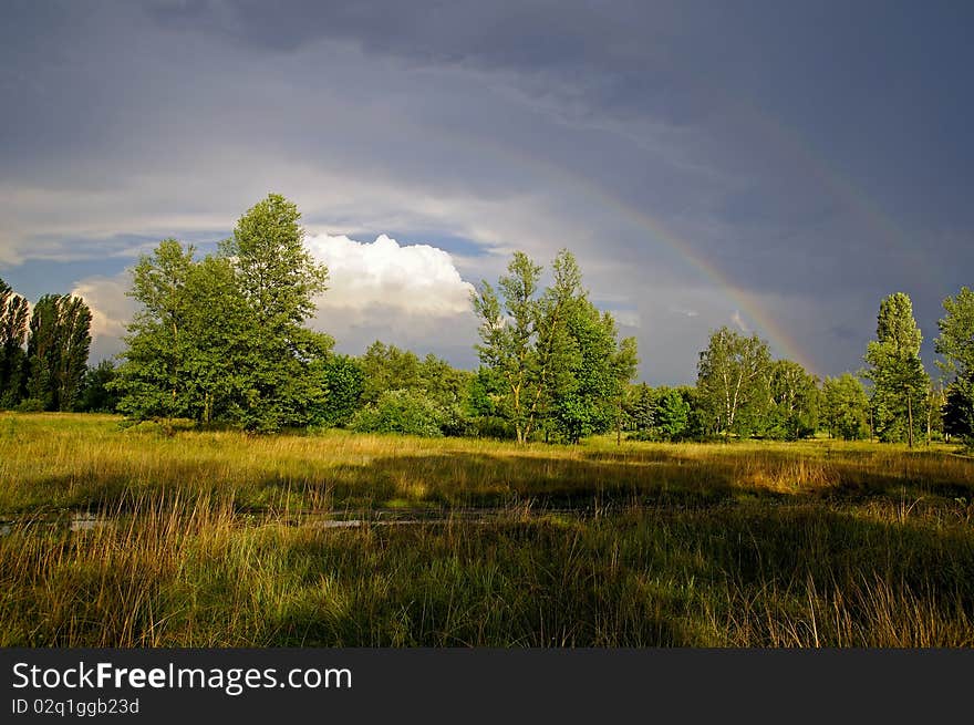 After the storm