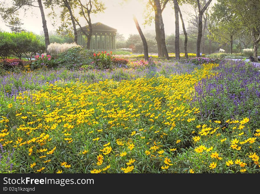 Mysterious garden with fantastic scenery