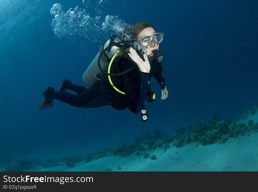 Female scuba diver swims in blue water