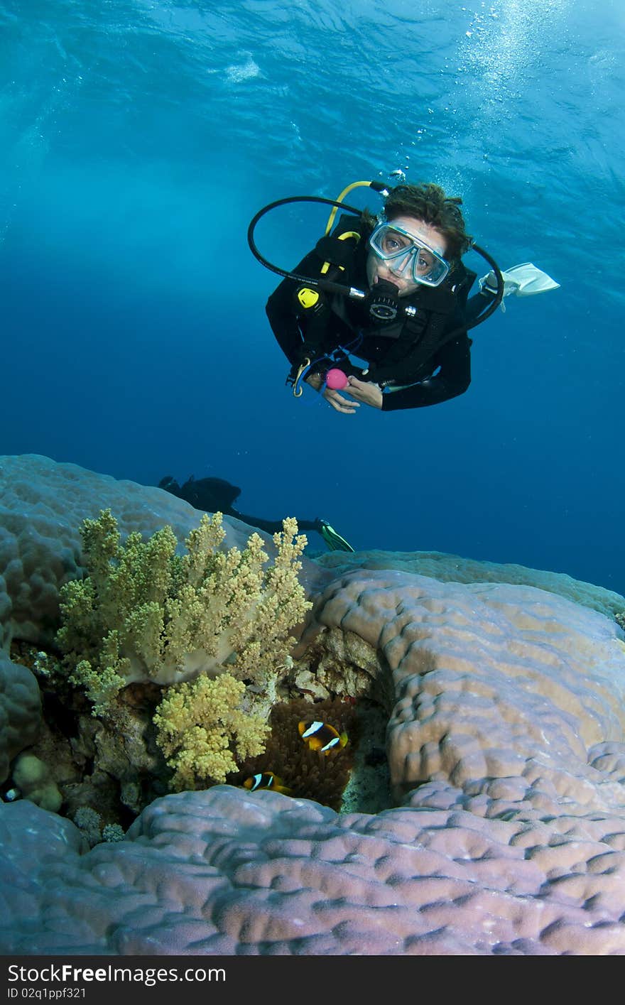 Female scuba diver swims over coral reef