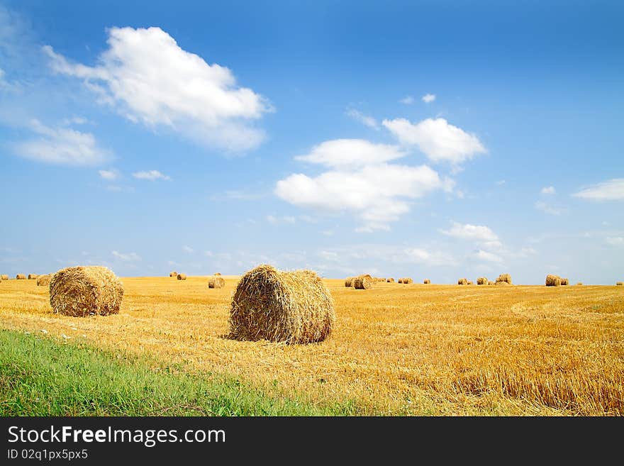 Straw twisted round in the stack lying on the field