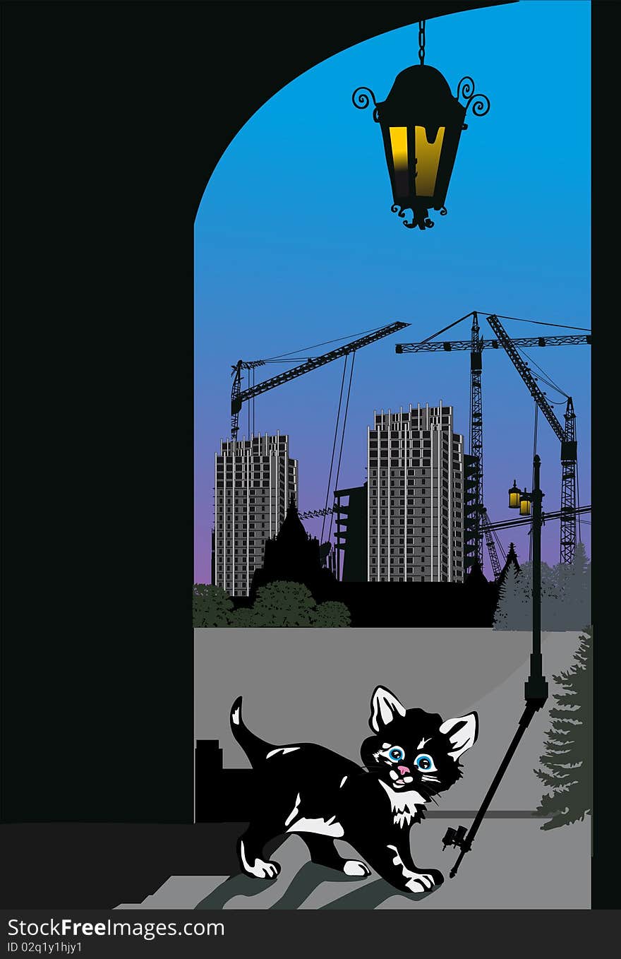 Illustration with small kitten in night city. Illustration with small kitten in night city