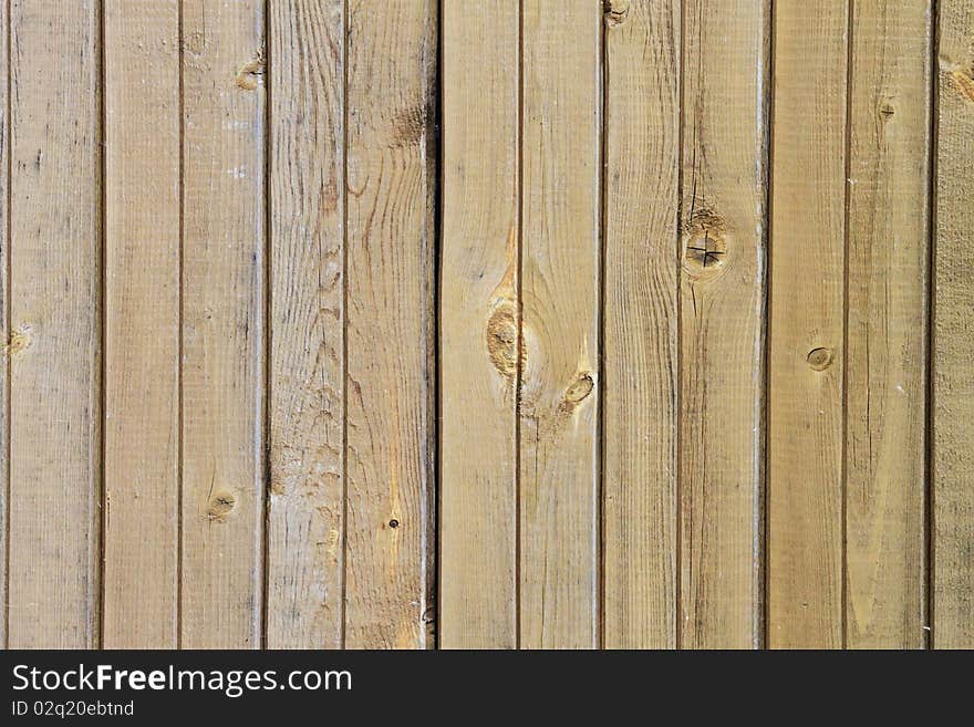 Wood Texture