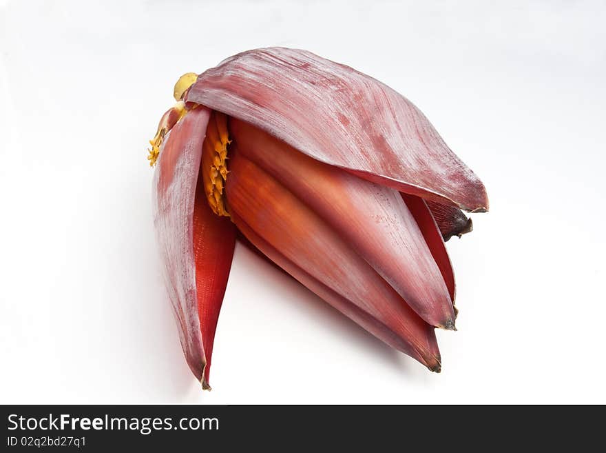 A banana flower, used in curries & salads, against a white background