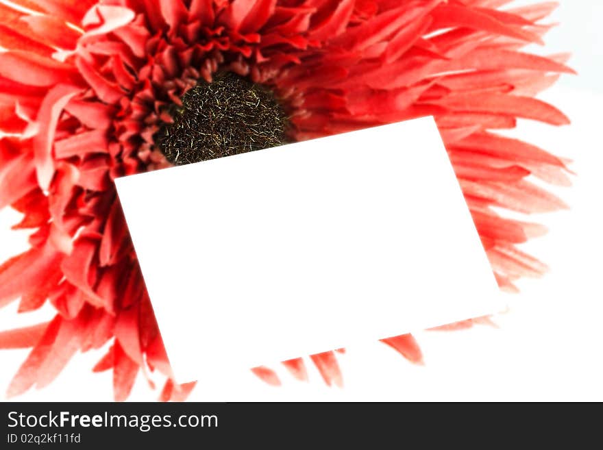 Huge red flower with blank white card for invitation or celebration. Huge red flower with blank white card for invitation or celebration.