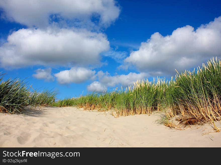 Sand dune with grass